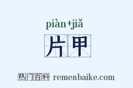 片甲是什么意思的图片